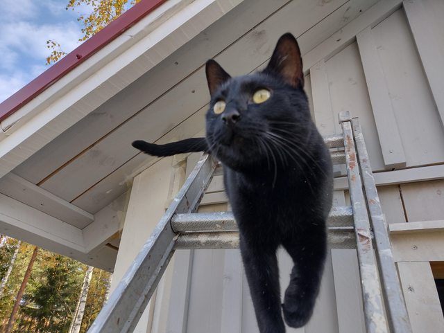 hOO62l6l.jpg hOO62l6l.jpg