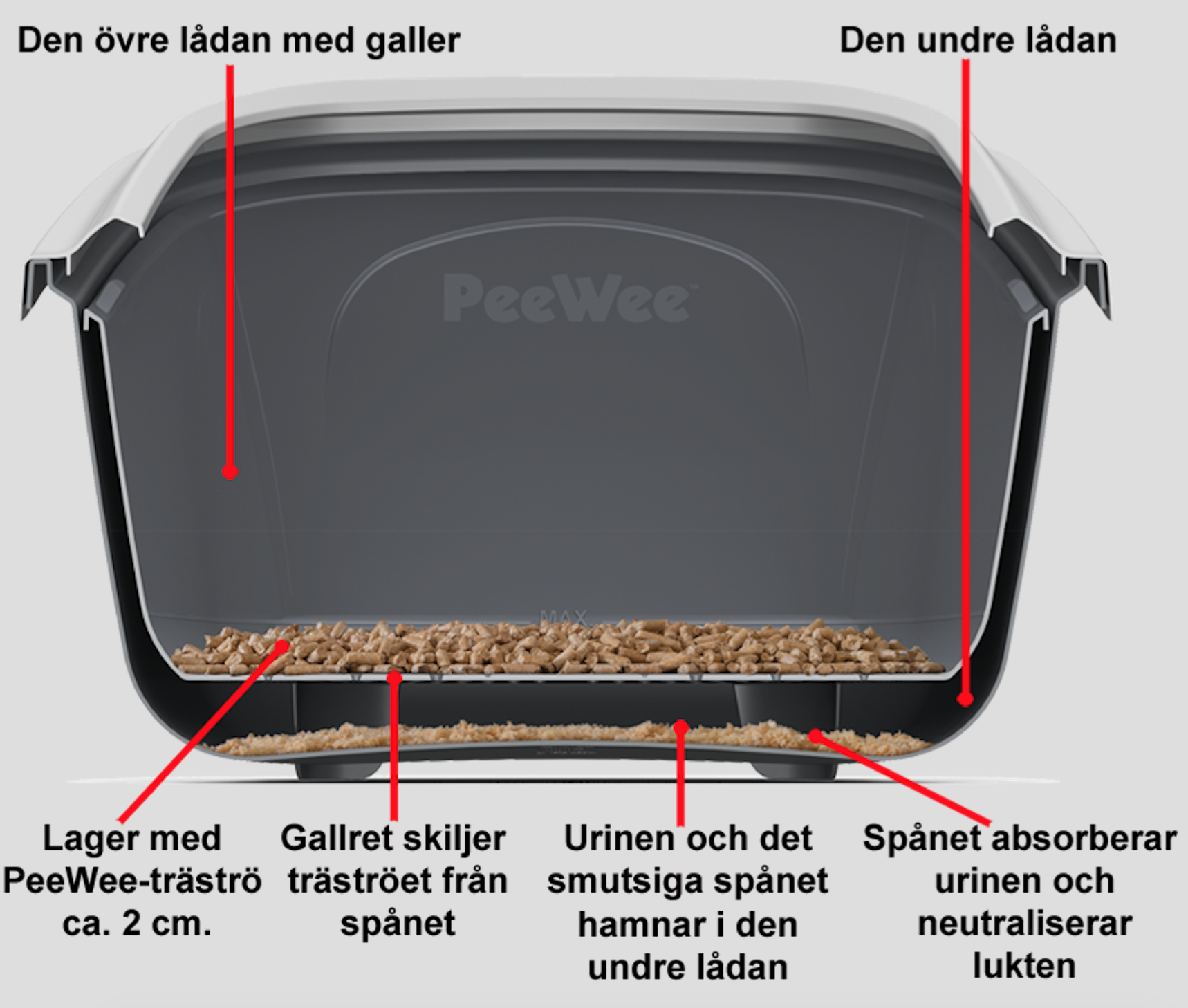 peewee-genomskarning.png