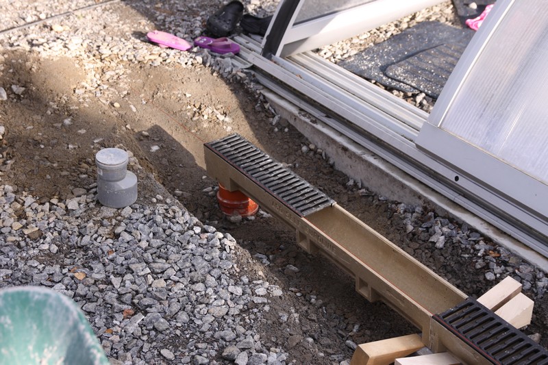 IMG_3100.jpg IMG_3100.jpg