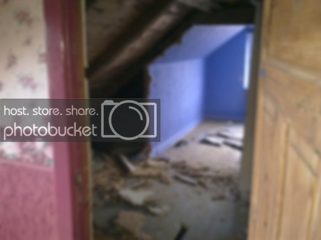 20110219405.jpg