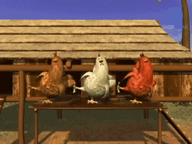 three-little-chicken-dance.gif
