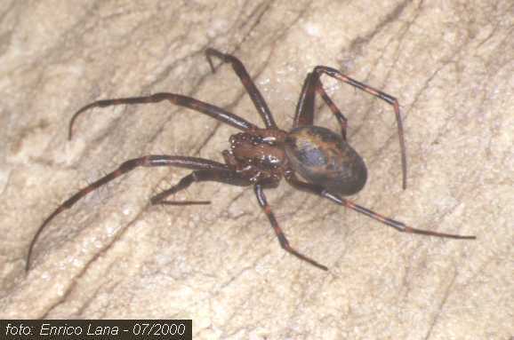 memema15-020800.jpg