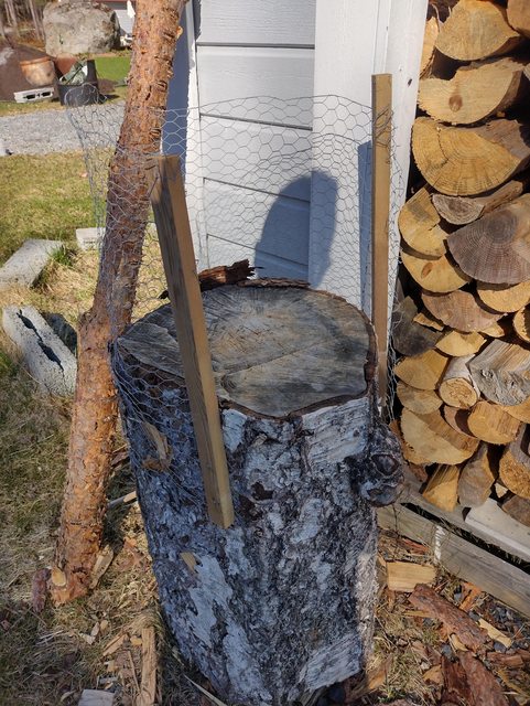 ZTheiMFl.jpg ZTheiMFl.jpg