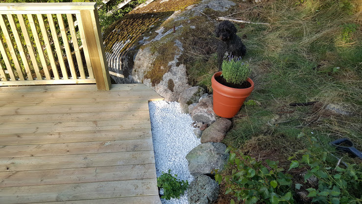 MKvCZbA.jpg MKvCZbA.jpg