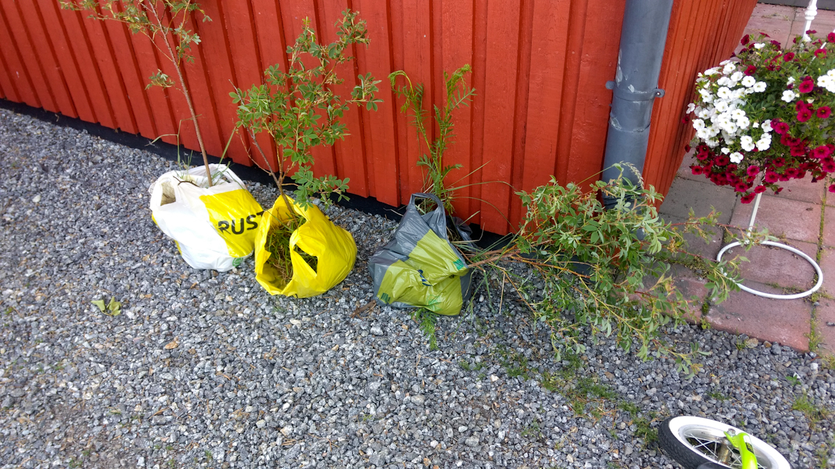 rLnl6rS.jpg rLnl6rS.jpg