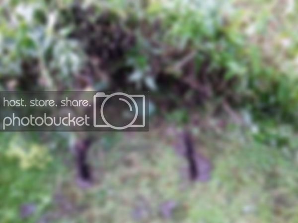 2011-07-15-2151.jpg 2011-07-15-2151.jpg