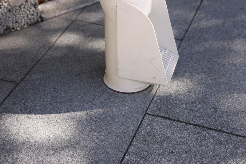 IMG_3126.jpg IMG_3126.jpg