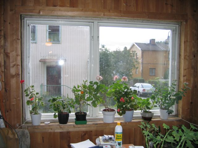 2007-08-28_Fonster.JPG