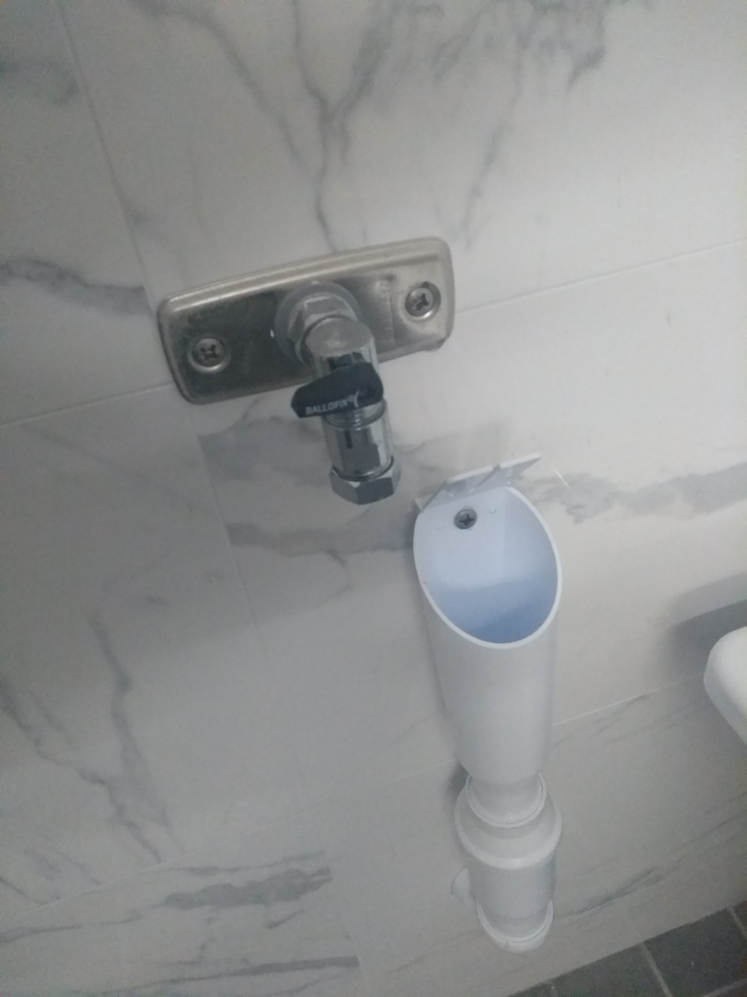 IMG-20201206-195001621.jpg