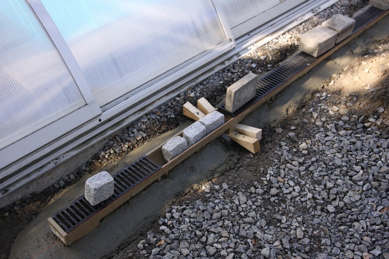 IMG_3107.jpg IMG_3107.jpg