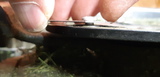 ifuwyzsk73363z4pg4nz_thumb.jpg