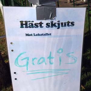 hast-skjuts.jpg hast-skjuts.jpg