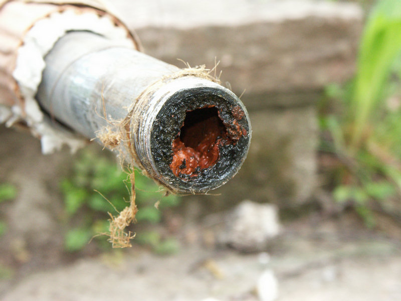 PICT3921.jpg PICT3921.jpg