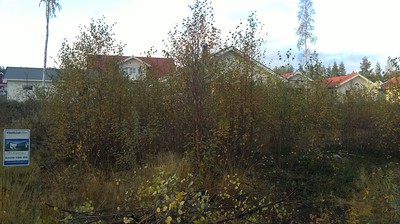 20101007041_116333914.jpg