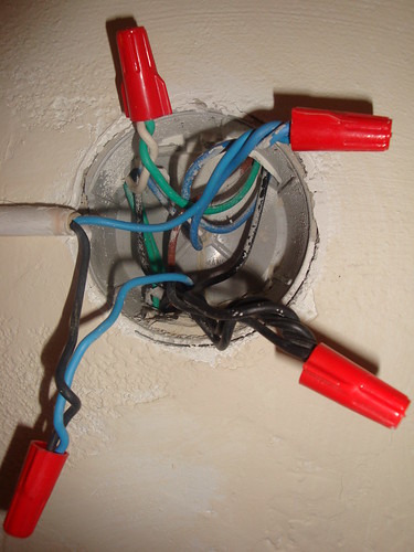 3134392013_d5bed410d1.jpg 3134392013_d5bed410d1.jpg