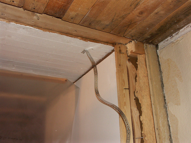 PICT4699.jpg PICT4699.jpg