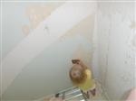 b02201250156Pb6a0.jpg