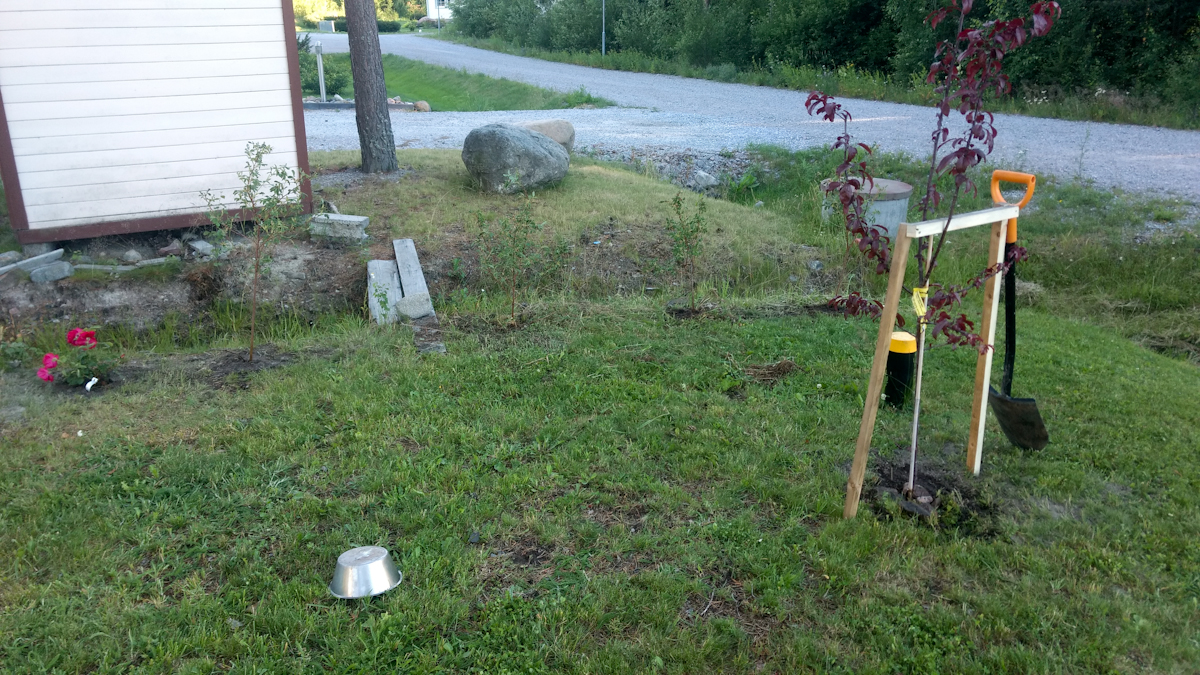 rPSCWBF.jpg rPSCWBF.jpg