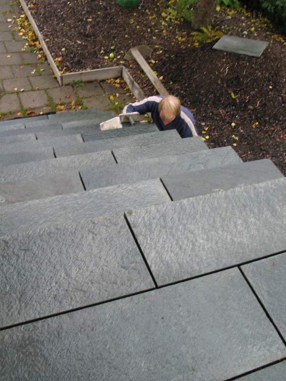 img_0845_r1.jpg img_0845_r1.jpg