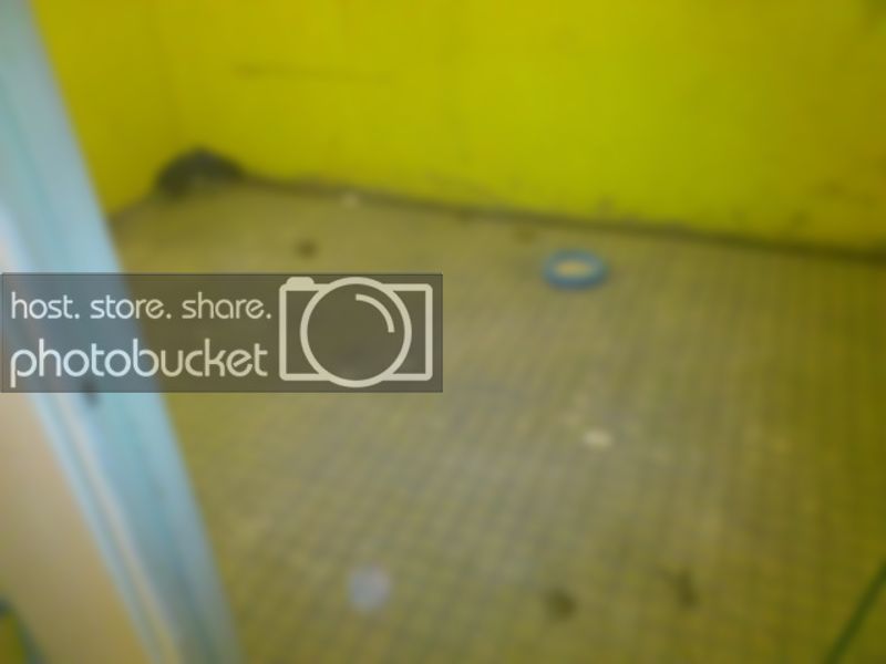 DSC_0664.jpg DSC_0664.jpg