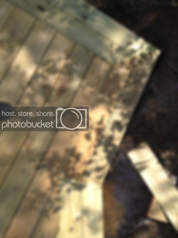 bild-30.jpg bild-30.jpg