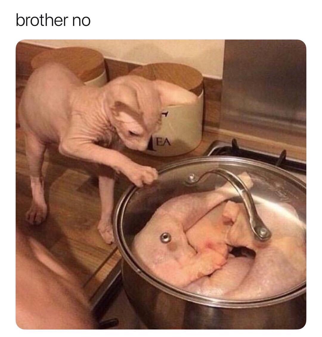 YVp3yTO.jpg