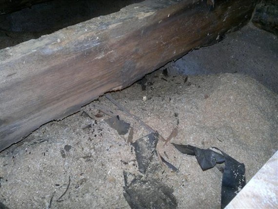 2b5201260612Peb27.jpg