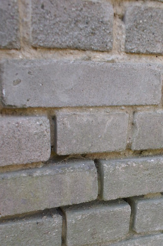 4573429809_aaa09f40d8.jpg