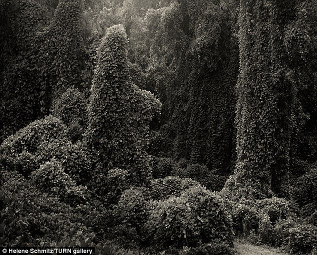 2F60593700000578-3374056-image-a-7_1451053216394.jpg 2F60593700000578-3374056-image-a-7_1451053216394.jpg