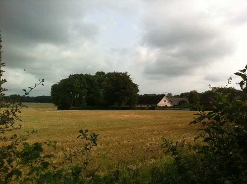Parp1247004.jpg