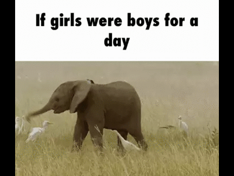 37a.gif