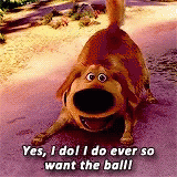 dug-want-the-ball.gif dug-want-the-ball.gif