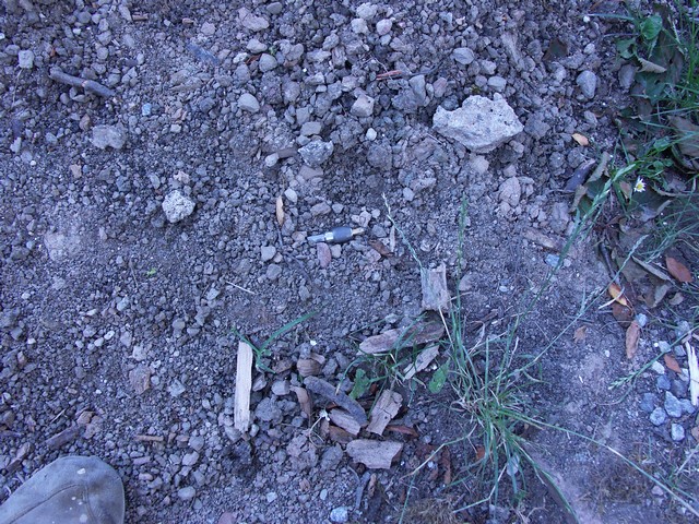 PICT6254.jpg PICT6254.jpg