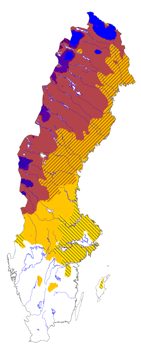ank_hos_20191001.gif