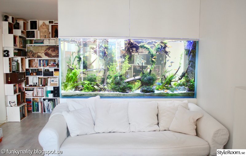 865050-akvarium.jpg 865050-akvarium.jpg