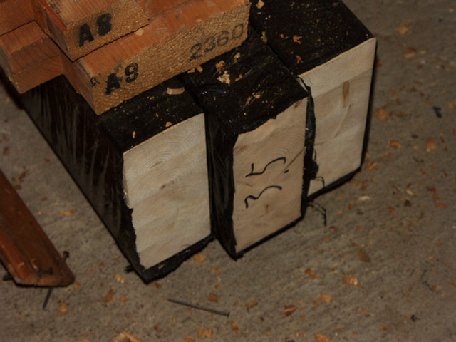 PICT0041.jpg