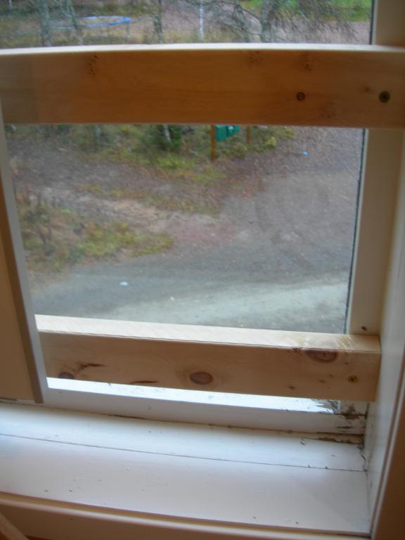 fonsterDSCN7643.JPG
