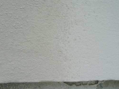 IMG_2029.jpg IMG_2029.jpg