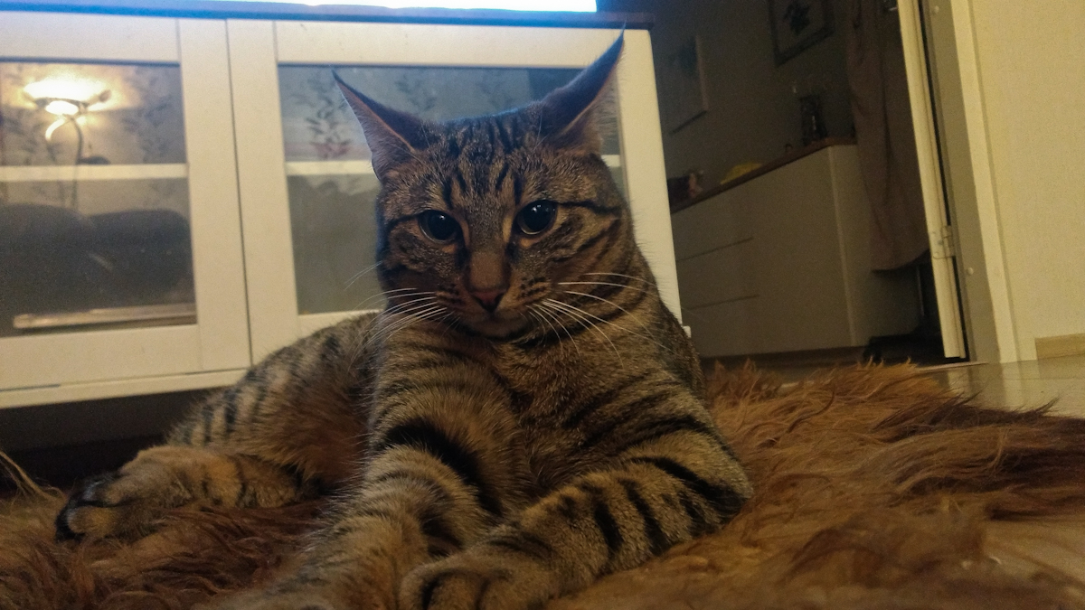 tORiNZB.jpg tORiNZB.jpg