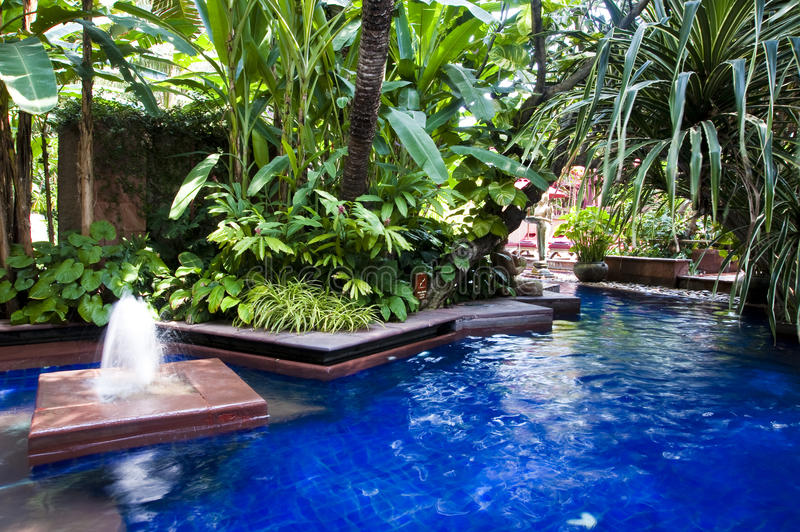 tropical-swimming-pool-10240170.jpg