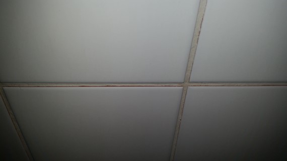 20170824-174338.jpg