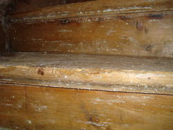 th_64655_Delaoxfil001_122_485lo.jpg th_64655_Delaoxfil001_122_485lo.jpg