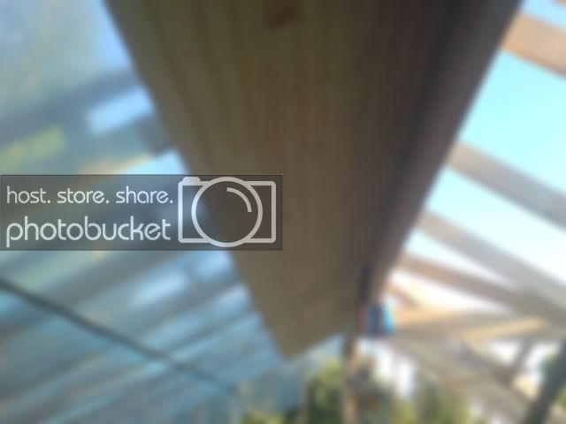 DSC04905.jpg DSC04905.jpg