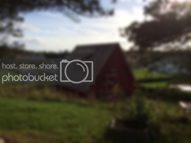 bild_zpsfe9edc27.jpg bild_zpsfe9edc27.jpg