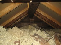 img_6890_86626211.jpg