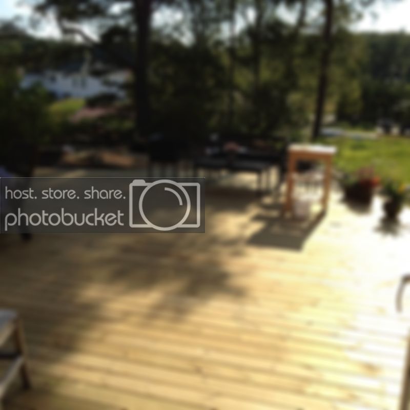 bild-31.jpg bild-31.jpg