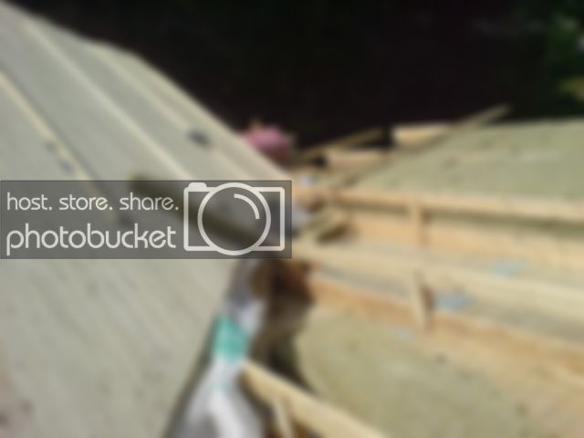 DSC04943.jpg DSC04943.jpg