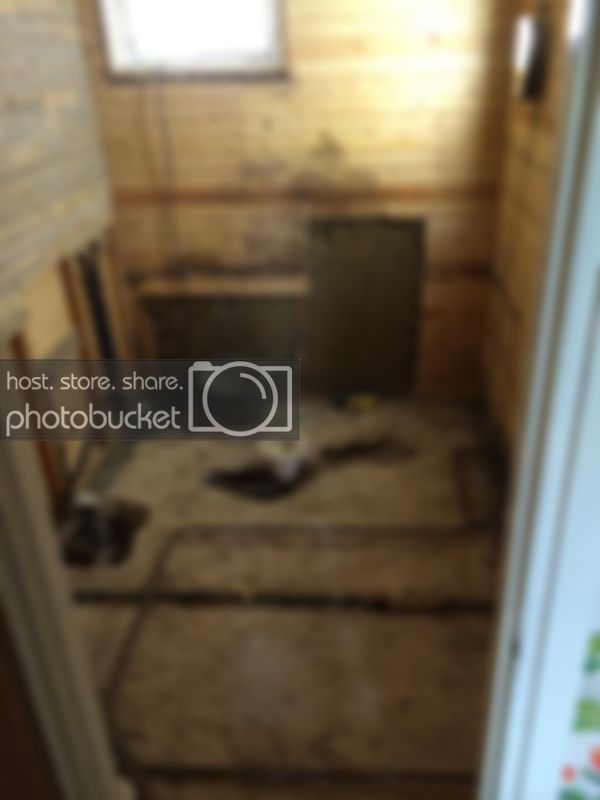 IMG_0548.jpg IMG_0548.jpg
