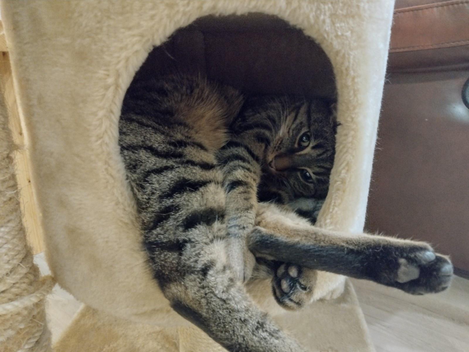 skXCHrS.jpg skXCHrS.jpg