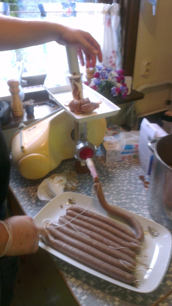 imag0299.jpg